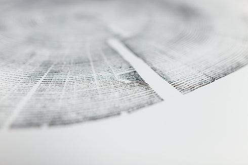 "White Pine" Tree Print - White Paper