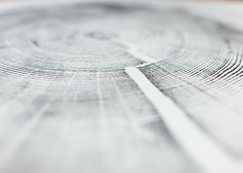 "White Pine" Tree Print - White Paper