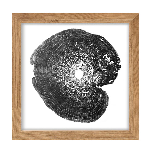 "Box Elder" Tree Print - White Paper