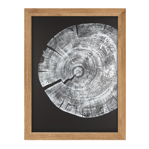 "White Pine" Tree Print - (Fragment on black paper)