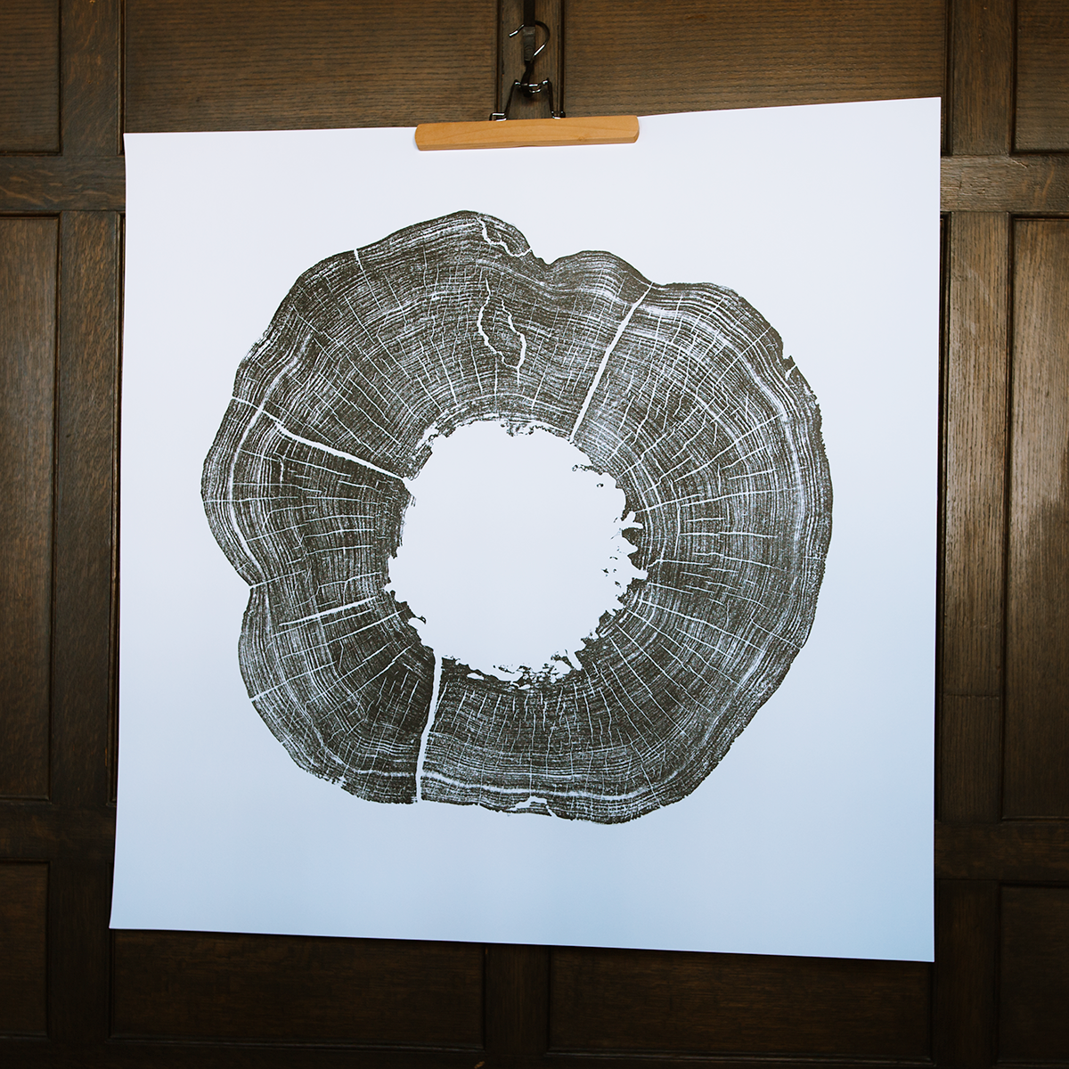 Heart Rot Walnut Tree Art Print Heart Rot Walnut Tree Art Print